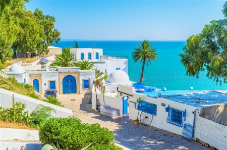 CARTHAGE & SIDI BOU SAID